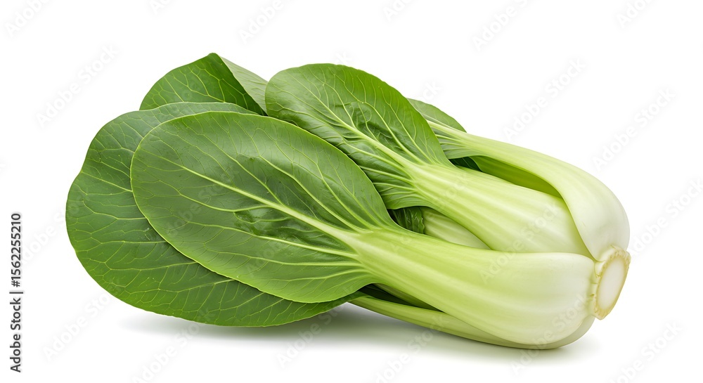Fresh Bok Choy Duo: Crisp Greens on White Fresh Bok Choy Duo: Crisp Greens on White