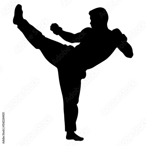 Silhouette of a martial artist performing a high kick without background  