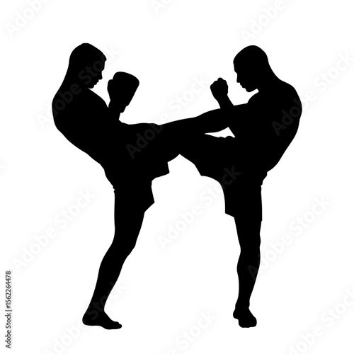 Silhouettes of two fighters engaging in combat without background  