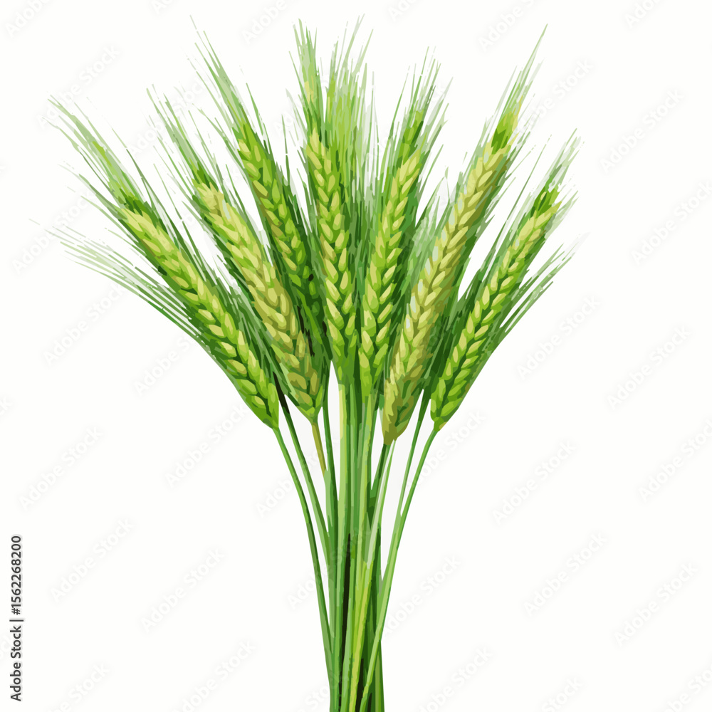 Fototapeta premium A vector of cyber green wheat design Art & Illustration