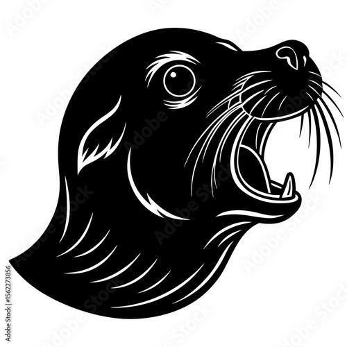 sea lion head