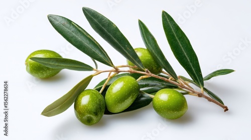 Wallpaper Mural The vibrant green olives on a fresh olive branch with leaves. Torontodigital.ca