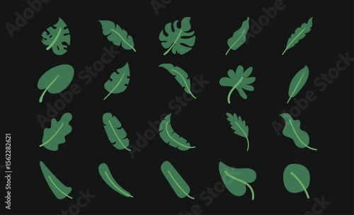 Minimalist Tropical Plant Graphic Pack