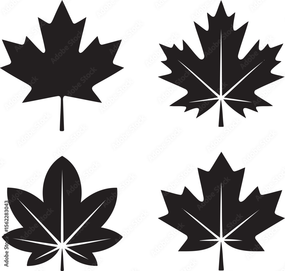 Fototapeta premium Maple leaf silhouette set vector illustration isolated On Transparent Background