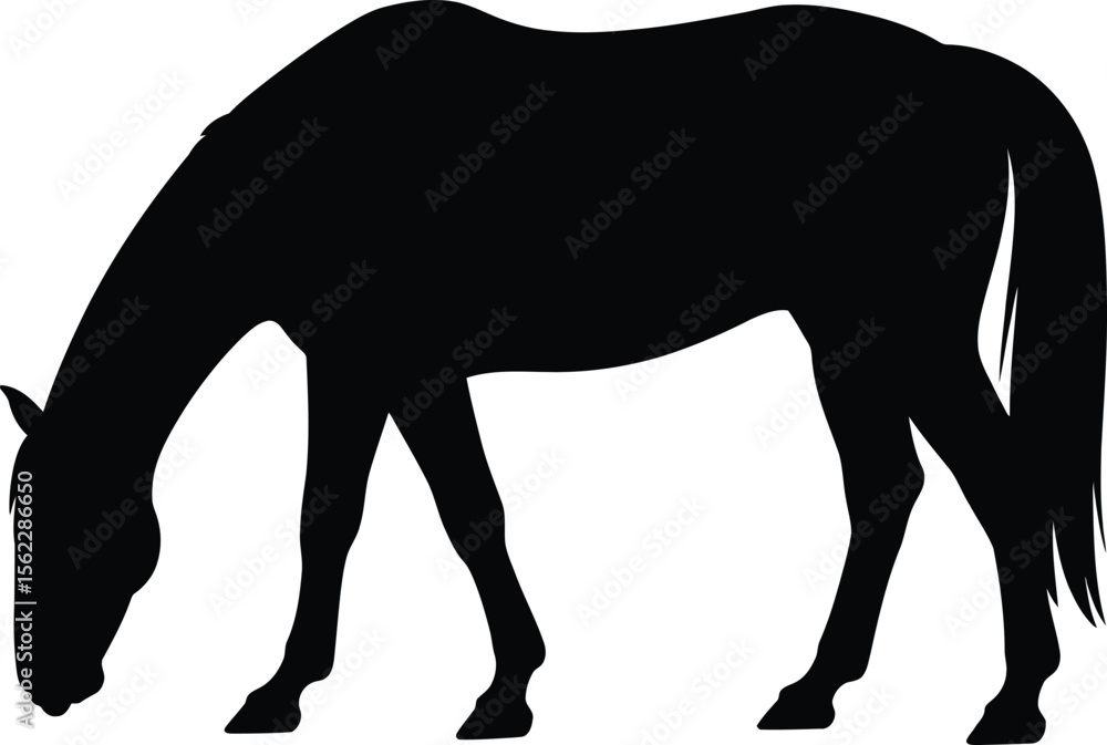 Obraz premium Horse silhouette vector illustration of grazing horse equine animal mammal black and white clip art design
