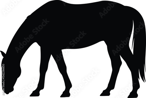 Horse silhouette vector illustration of grazing horse equine animal mammal black and white clip art design