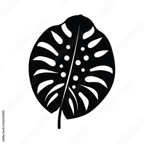 Monstera leaf silhouette with holes and dots