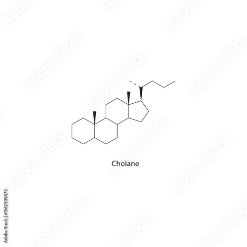 Cholane skeletal structure. Steroid hydrocarbon compound schematic illustration. Simple diagram, chemical formula.