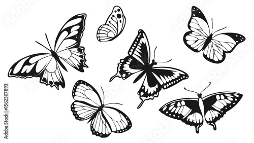Wallpaper Mural Collection of Black and White Butterfly Silhouettes in Natural Poses – Isolated Vector Set on Clean White Background for Nature and Insect Designs Torontodigital.ca