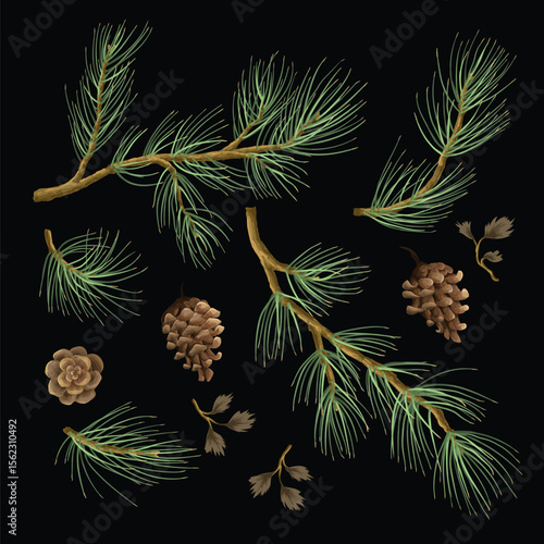 Pine branches and cones isolated. Vector.