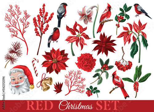 Vector red Christmas elements set with birds flowers and berries.