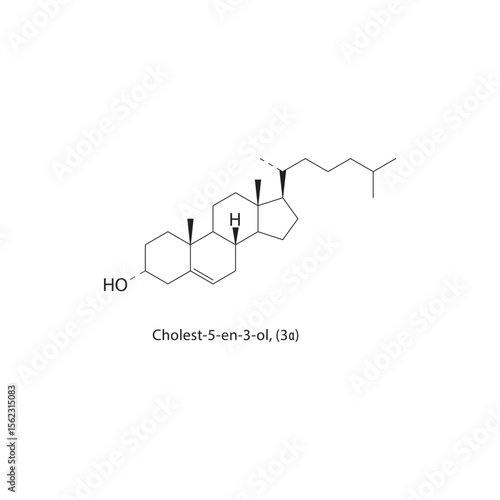 Cholest-5-en-3-ol, (3α) skeletal structure. Sterol compound schematic illustration. Simple diagram, chemical formula.