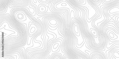 Abstract topographic map with thin black contour lines   white background, illustrating elevation changes across the terrain. and modern design