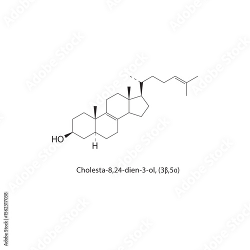 Cholesta-8,24-dien-3-ol, (3β,5α) skeletal structure. Steroid compound schematic illustration. Simple diagram, chemical formula.