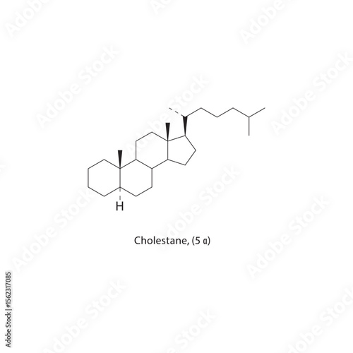 Cholestane, (5α) skeletal structure. Saturated steroid hydrocarbon compound schematic illustration. Simple diagram, chemical formula.
