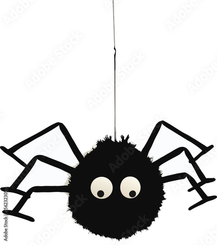 vector illustration of a spider