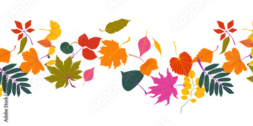 Colorful autumn leaves seamless border pattern with rowan, maple, birch and other fall foliage on white background. Perfect for seasonal decor, packaging and invitations