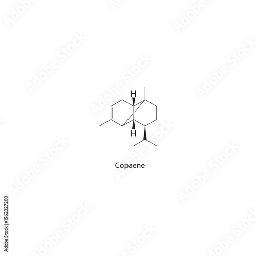 Copaene skeletal structure. Sesquiterpene compound schematic illustration. Simple diagram, chemical formula.