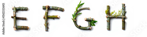 Natural Wooden Alphabet E,F,G,H