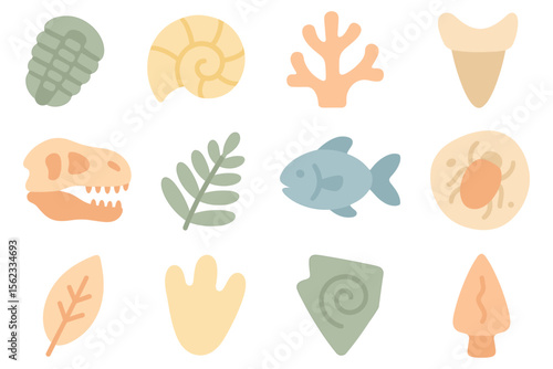 Prehistoric fossils vector illustration for educational design in flat style