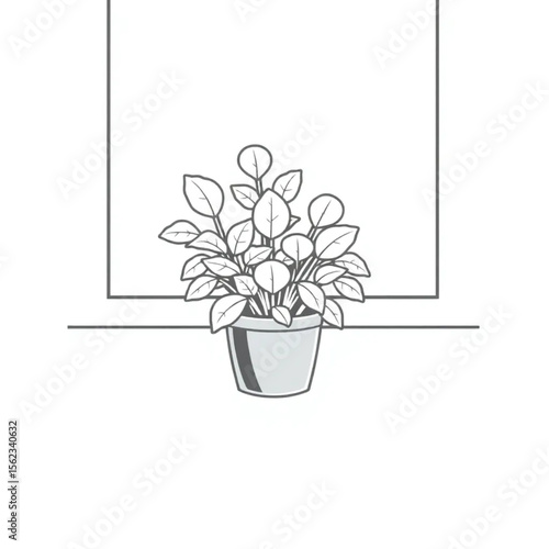 A potted sage plant on a kitchen windowsill
