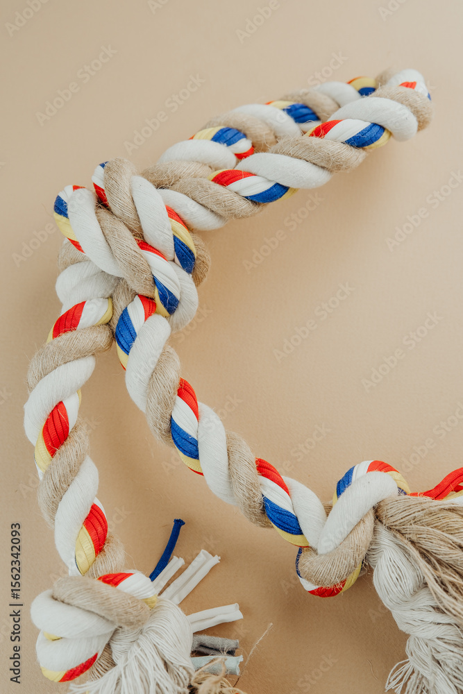 Obraz premium Bright twisted rope dog toy for interactive pet games and bite training concept