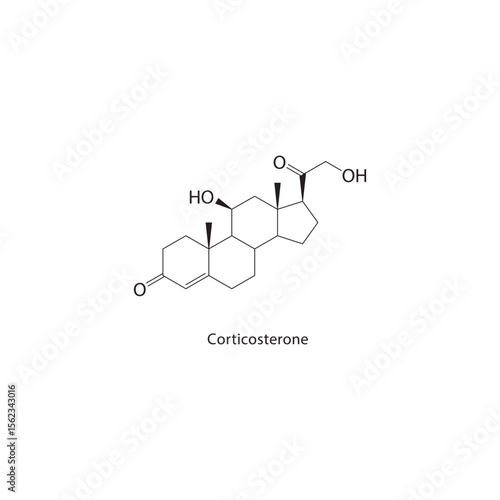 Corticosterone skeletal structure. Steroid hormone compound schematic illustration. Simple diagram, chemical formula.