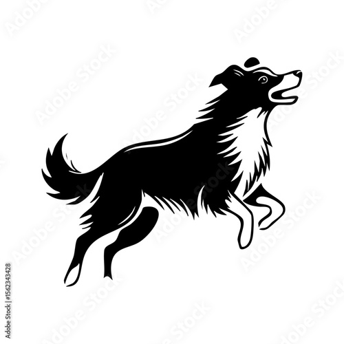 Minimalist black vector of an active herding dog mid-stride, symbolizing agility, livestock management, and working dog energy.

