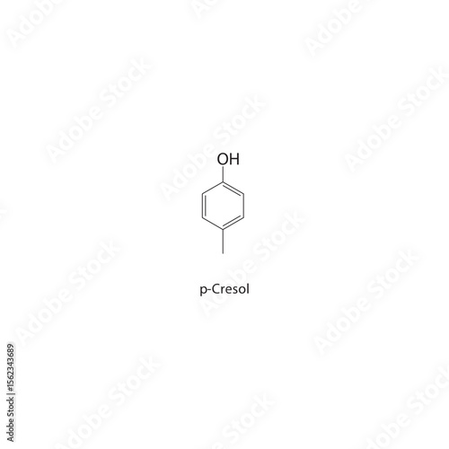 p-Cresol skeletal structure. Aromatic alcohol compound schematic illustration. Simple diagram, chemical formula.