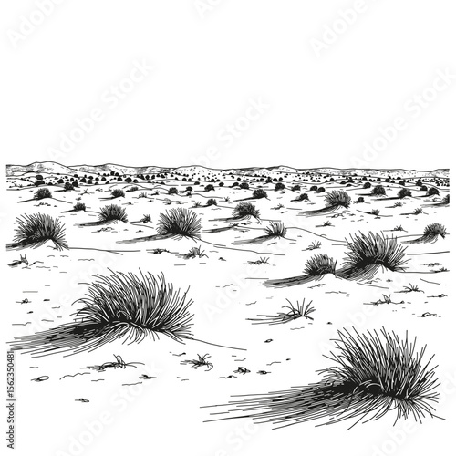 An expansive desert landscape, intricately rendered in grayscale, showcasing resilient desert plants. The illustration evokes a sense of solitude and the enduring spirit of nature's harsh beauty.