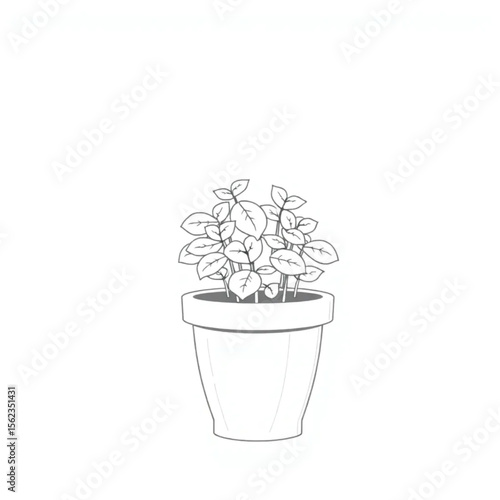 A potted mint plant on a balcony ledge