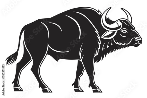 buffalo sihouette black vector