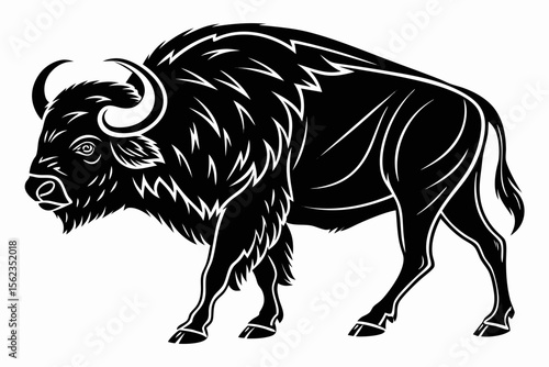 buffalo sihouette black vector