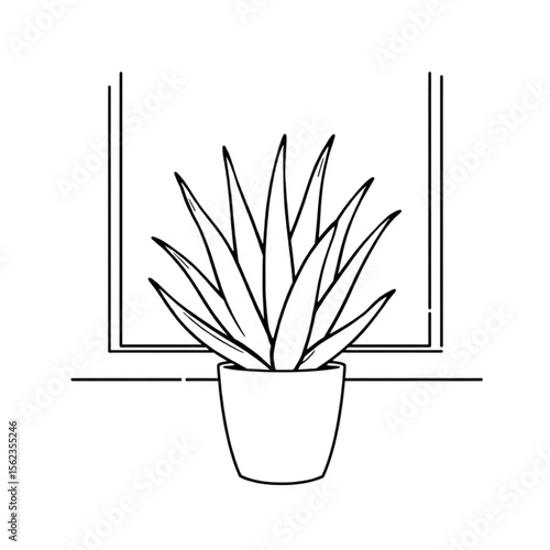 A potted aloe vera on a kitchen windowsill
