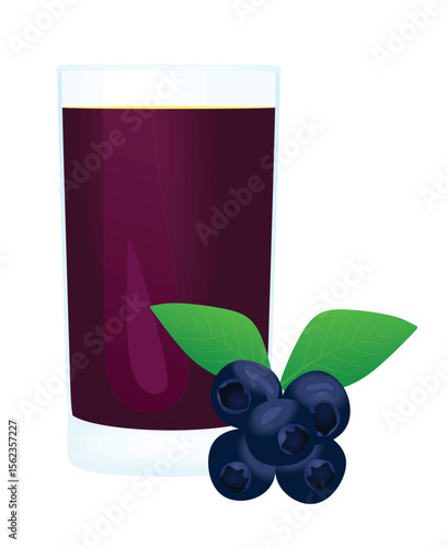 Blueberry juice with a fresh blueberries beside glass, vector	