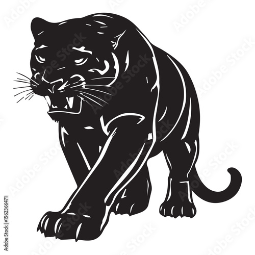 Aggressive black panther stalking forward with open mouth and sharp claws