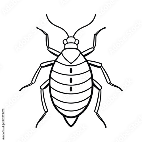 vector illustration of a bedbug