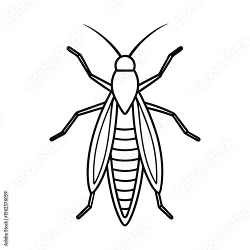 caddisfly insect line vector illustration