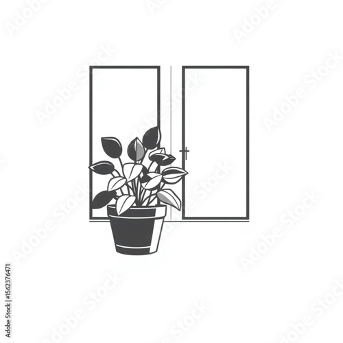 A potted sage plant on a kitchen windowsill