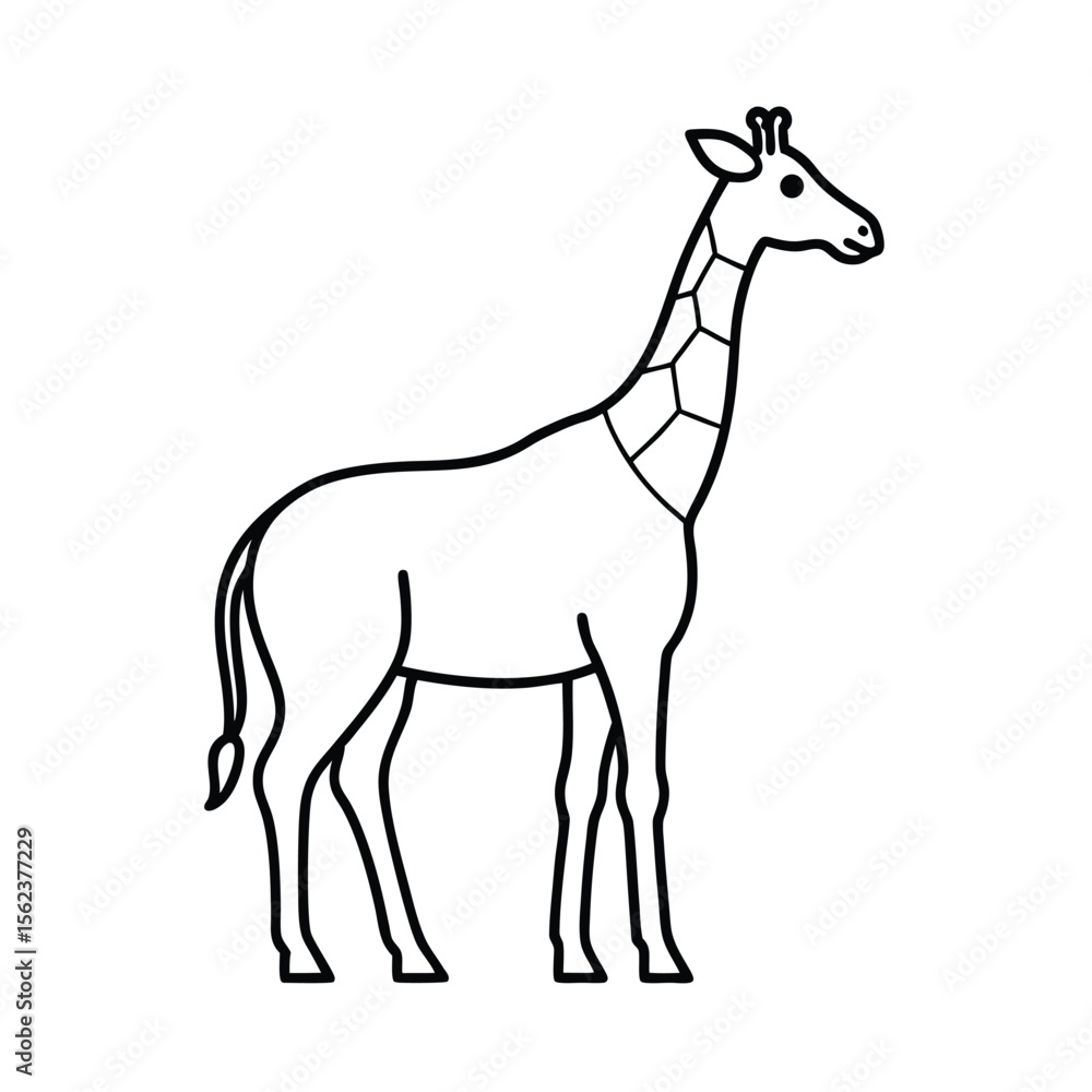 Fototapeta premium giraffe animal line vector illustration