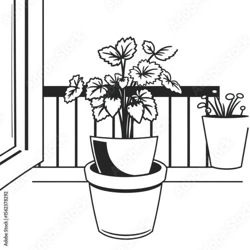 A potted strawberry plant on a balcony