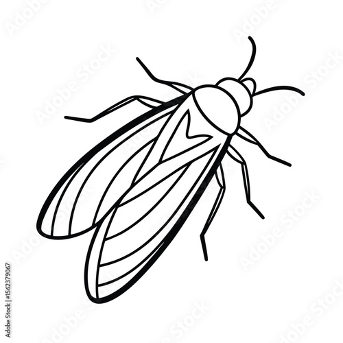 planthopper line vector illustration