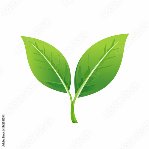 Icône feuilles de thé 