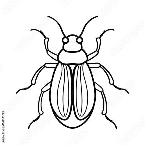 whirligig beetle line vector