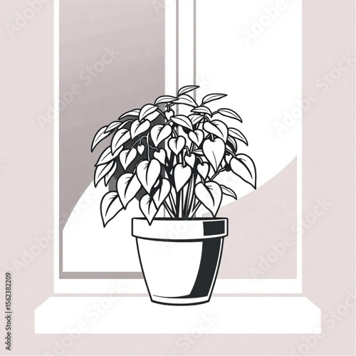 A potted chilli plant on a windowsill
