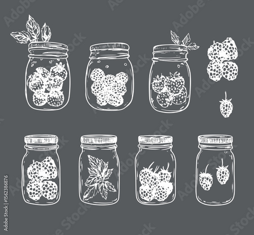 set of vector funny adorablr line art sketch drawings of jars and strawberry