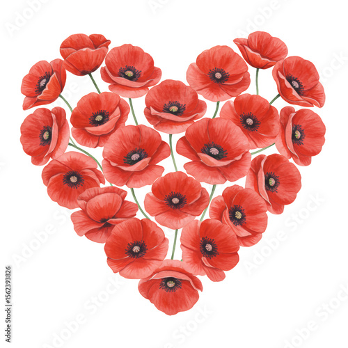 Red poppies arranged in a heart shape on a transparent background. Watercolor style illustration. Perfect for Valentine's Day, romantic designs, or remembrance.