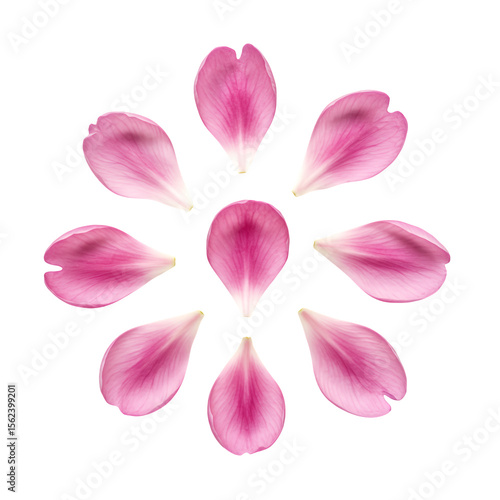Pink flower petals arranged in a circular pattern on a black background. The petals are soft pink and have a delicate texture. The image is simple and elegant, perfect for a variety of uses.