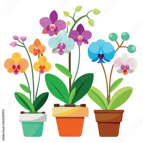 Orchids in Flowerpots Isolated on White Background – Elegant Botanical Plant Illustration for Interior Decor, Gardening, Nature Themes, or Floral Design Projects