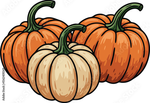 Three Pumpkins with Green Stems Orange and White Colors Illustration Vector 